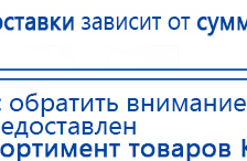 СКЭНАР-1-НТ (исполнение 01 VO) Скэнар Мастер купить в Брянске, Аппараты Скэнар купить в Брянске, Скэнар официальный сайт - denasvertebra.ru