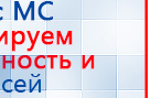 СКЭНАР-1-НТ (исполнение 01 VO) Скэнар Мастер купить в Брянске, Аппараты Скэнар купить в Брянске, Скэнар официальный сайт - denasvertebra.ru